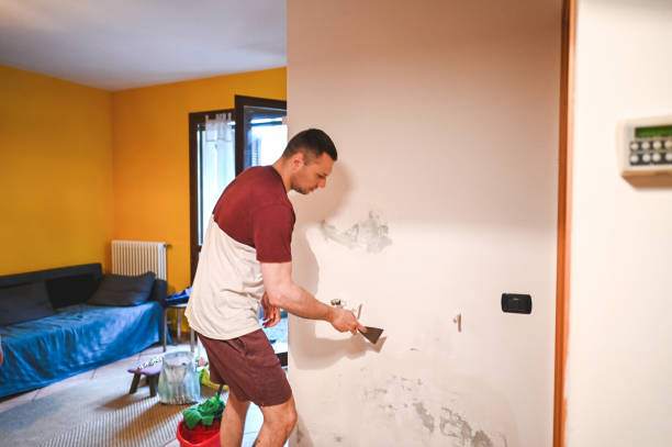 Best Residential Mold Removal  in La Plata, MO